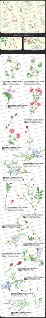 a variety of exquisite small flowers material