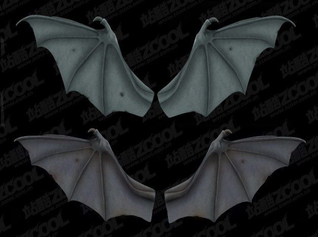 bat wings layered material with dark gray background