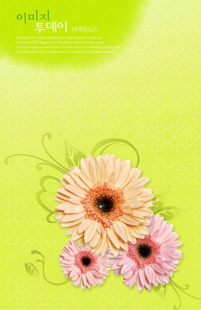 flowers background layered material over green yellow