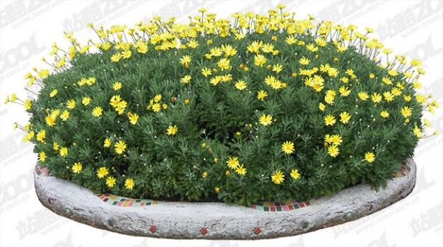 flowers layered material with chrysanthemum bed