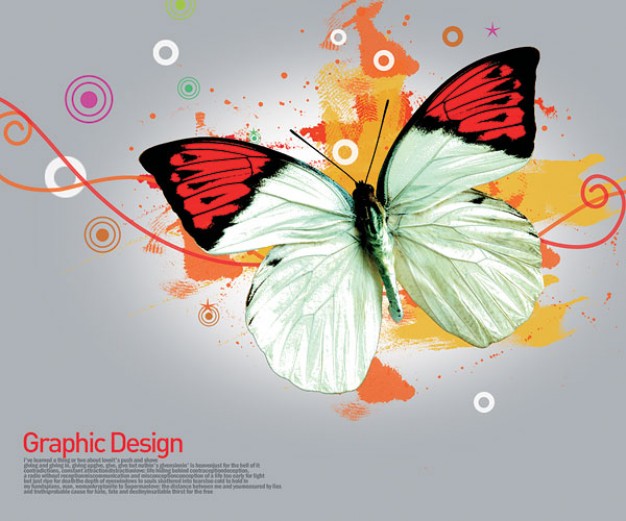 korean design elements layered with butterfly and circles