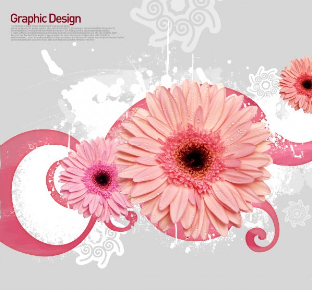 korean design elements layered with flowers and pink swirl