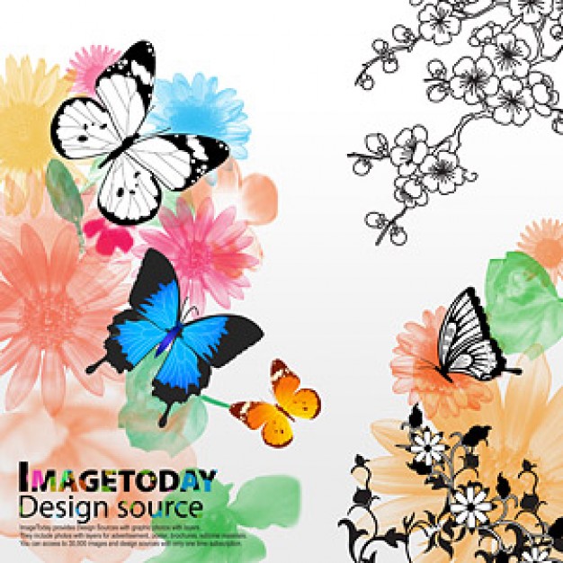 south korea trend of dynamic material with butterflies and flowers