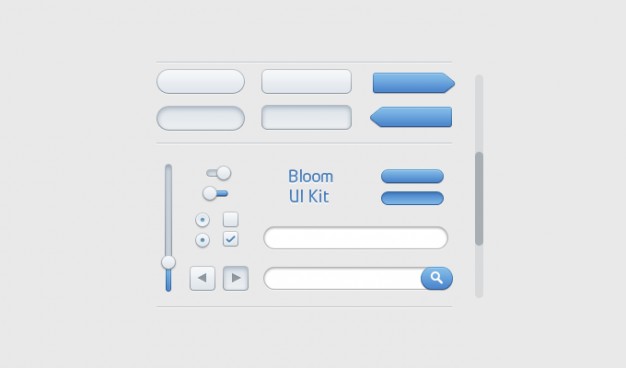 bloom ui kit with progress search form etc