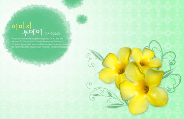 green elegant pattern with morning glory flowers background