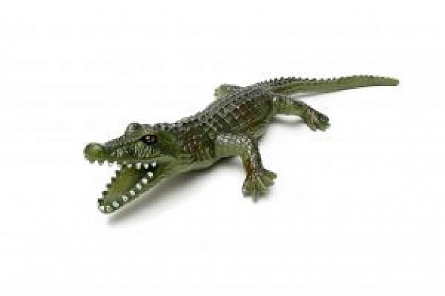 Alligator alligator plastic toy about Journal of Experimental Biology National Science Foundation