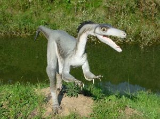 Dinosaur dinos walking at side of river about animal and field