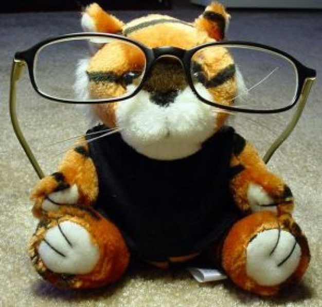 Gurkha professor Nepal tiger toy with glass about eyeglasses China