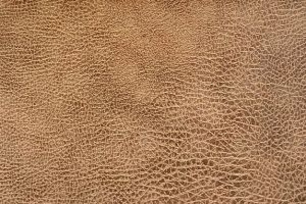 Leather shell pattern about Clothing Home and Garden Furniture Business Artificial leather