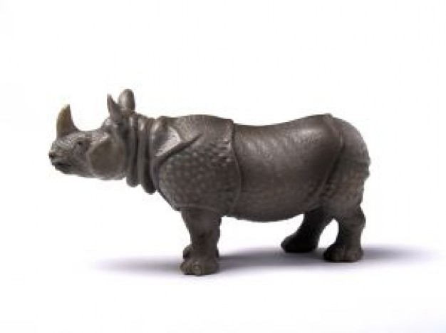 Rhinoceros rhino Sumatran rhinoceros 1 about Africa Javan rhinoceros