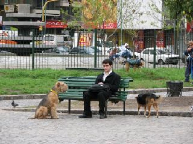 dog and man