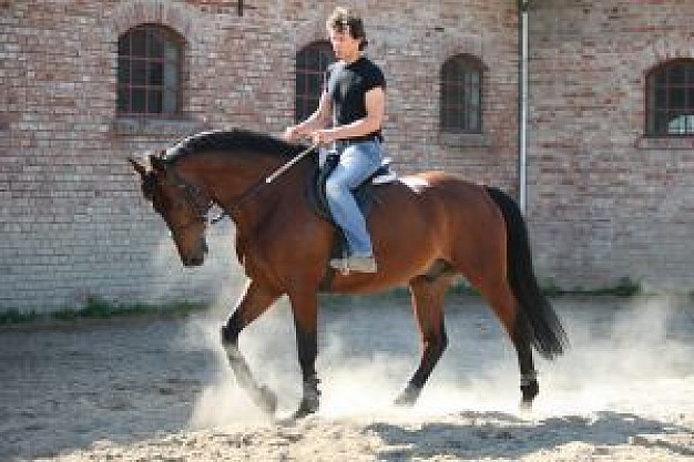 a rider with jean house background