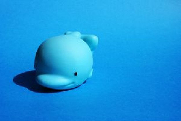 baby blue dolphin toy over blue background