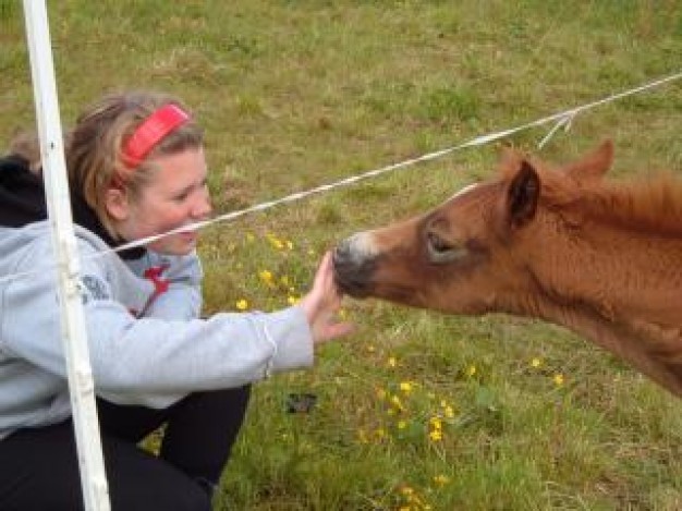 baby horse and girl at grassland