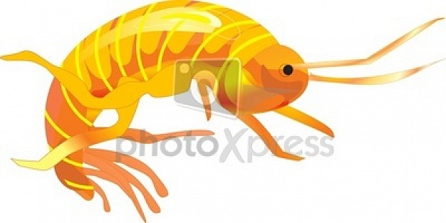 beach sea water fish clip art