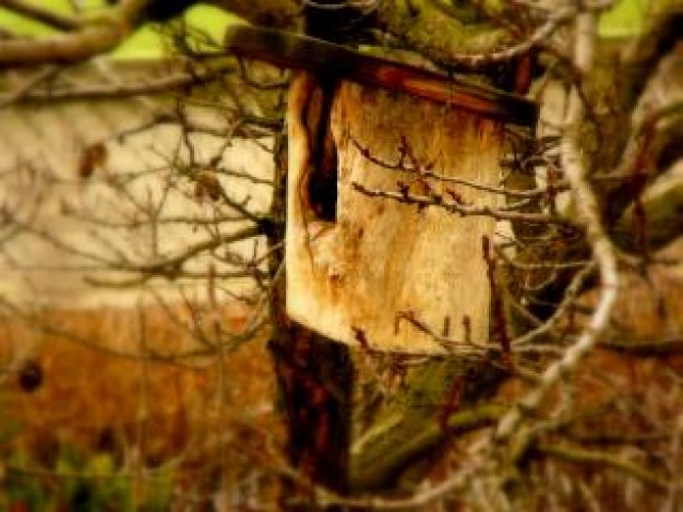 bird box in tree at field