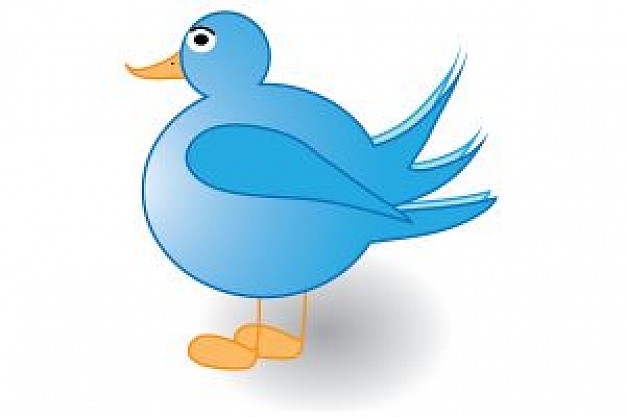 blue tweet bird standing in side view