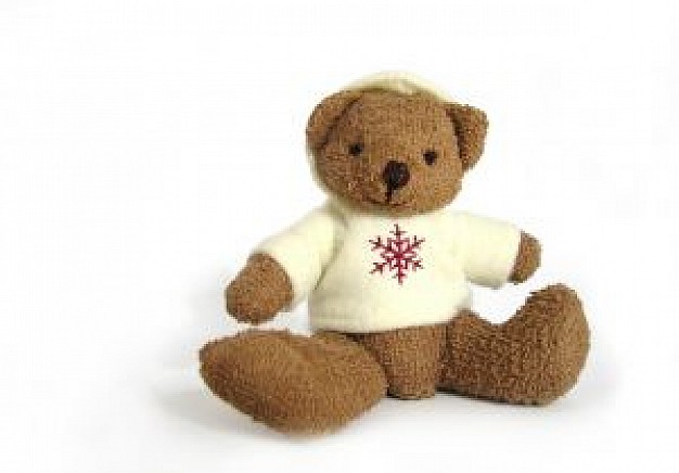 brown teddy bear with white clothing