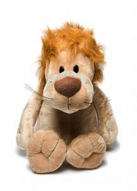 brown teddy lion front view