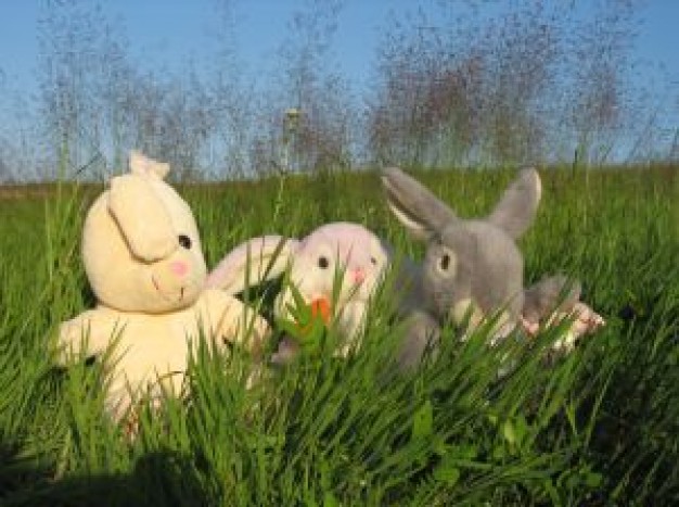 bunnies Easter in grass about YouTube Color Tanya Burr National Railroad Museum Petition Site