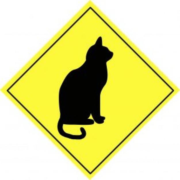 cat animal warning sign over yellow grid background