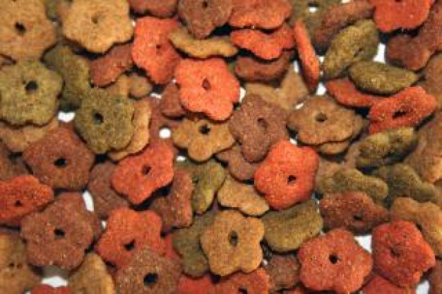  Cat pet food about food pattern