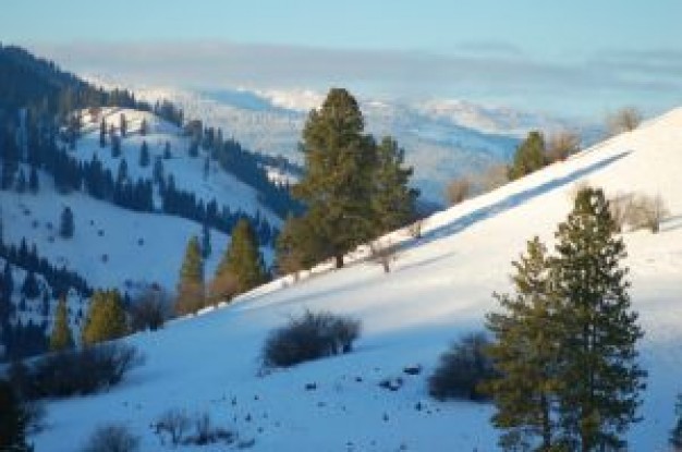 christmas in the mountains under sunlight