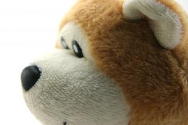 classic teddy bear toy face side view