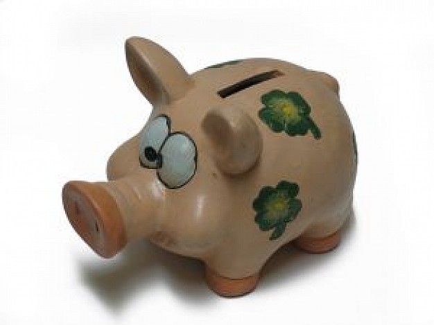 cute pig bank with long mouth and ears