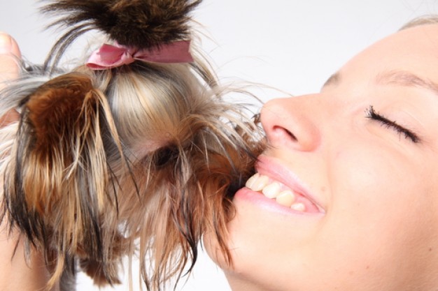 dog kissing girl glamor tongue friend