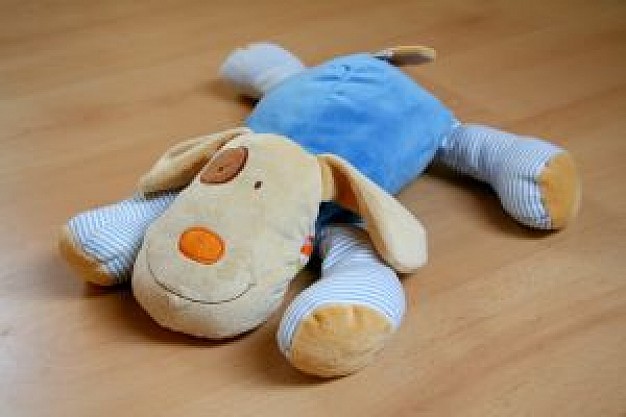 dog toy with blue clothing lying at wood floor