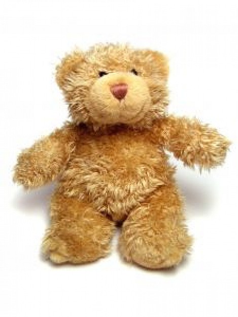 earth yellow teddy bear front view