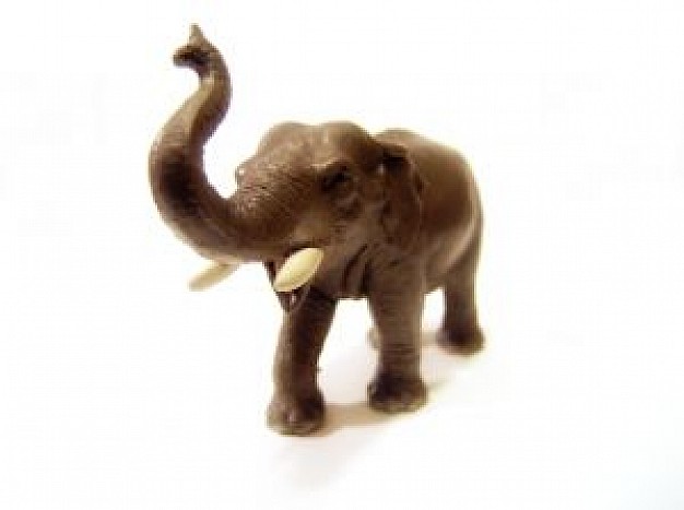 elephant statue with white background