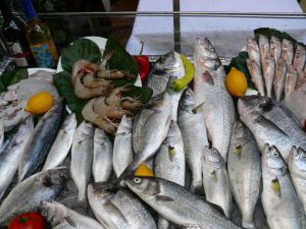 fishes hang up for selling