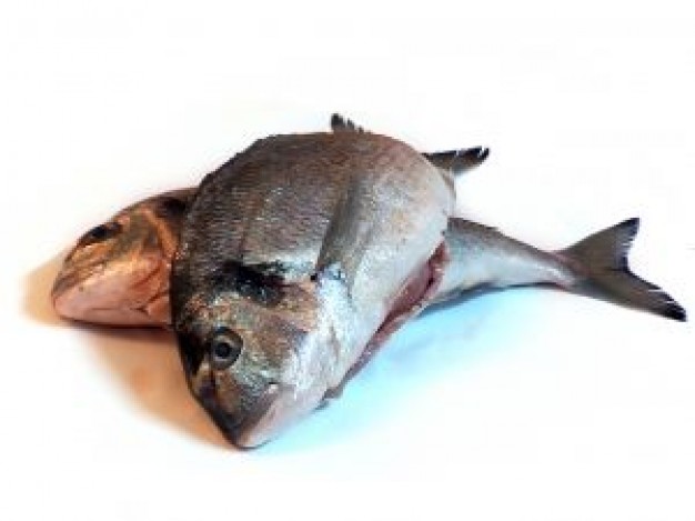 food fish pair on plate for cooking