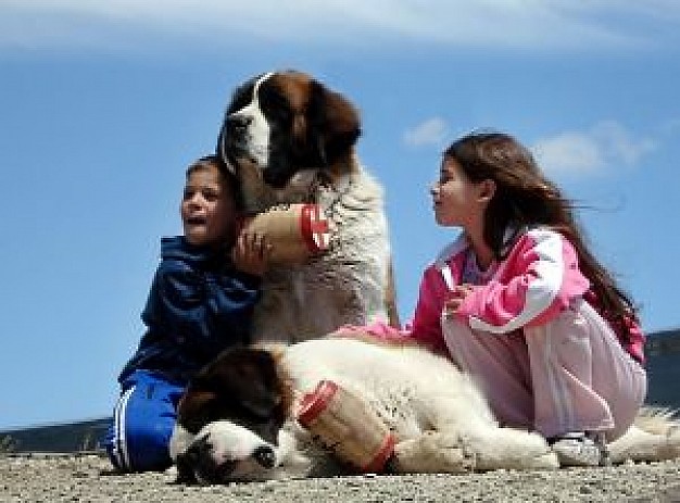 friends with boy girl and dog and blue sky at background