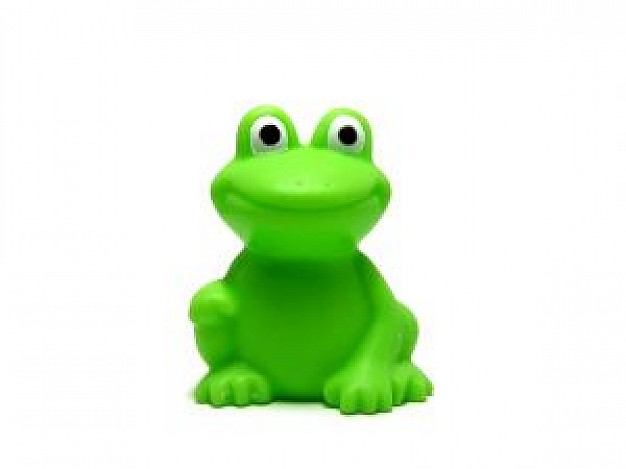 Frog Amphibian about plastic toy