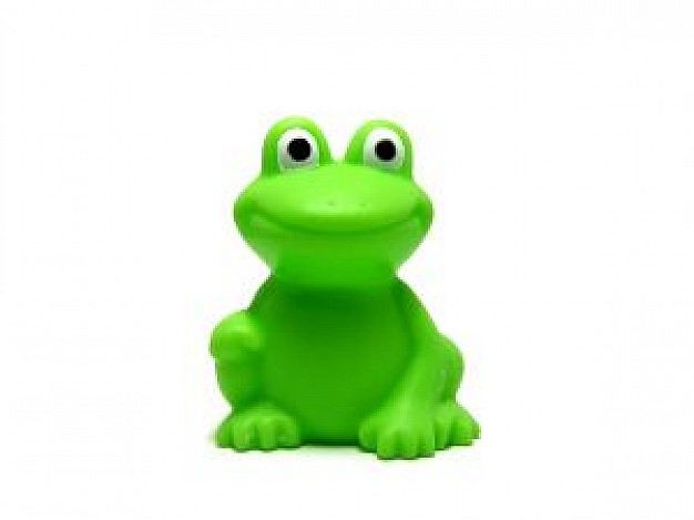 Frog Amphibian about plastic toy