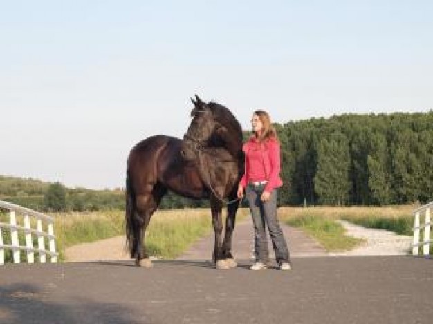 girl and her horse pet standing at bridge