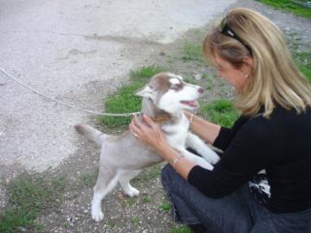 girl love pet at side of road