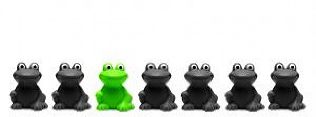 green and black frogs turn to one line