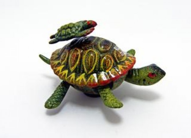 Green sea turtle ceramic Sea turtle about Conservation of Nature
