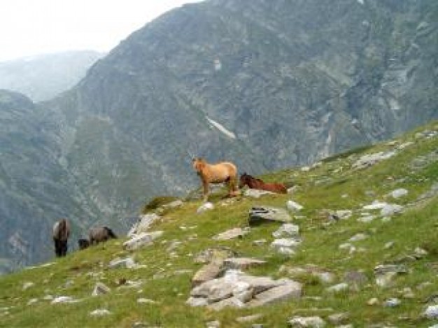 Gurkha freedom nature about mountain top