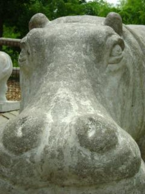 hippo sculpture in stone close-up