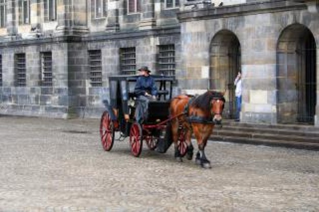 horse pull carriage with castle street background