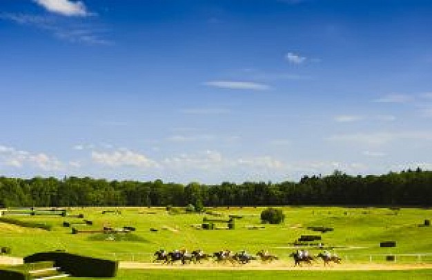 horse races landscape with blue sky and grassland