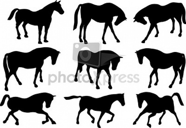 horse silhouette with black speed painting
