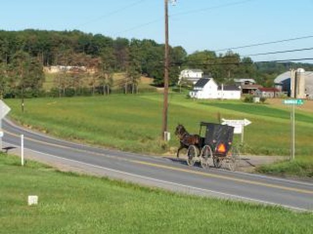 horsepower is still effective about field country life