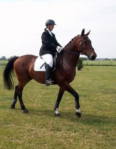 horsewoman rising over grass