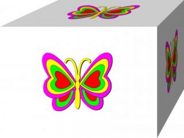 Insect butterfly in 3b box about gift box cover